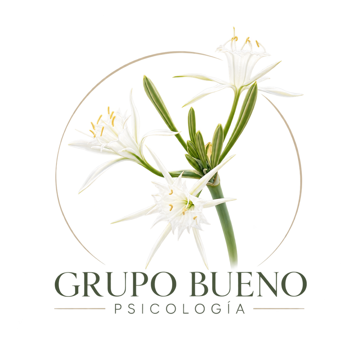 grupobuenopsicologia.es